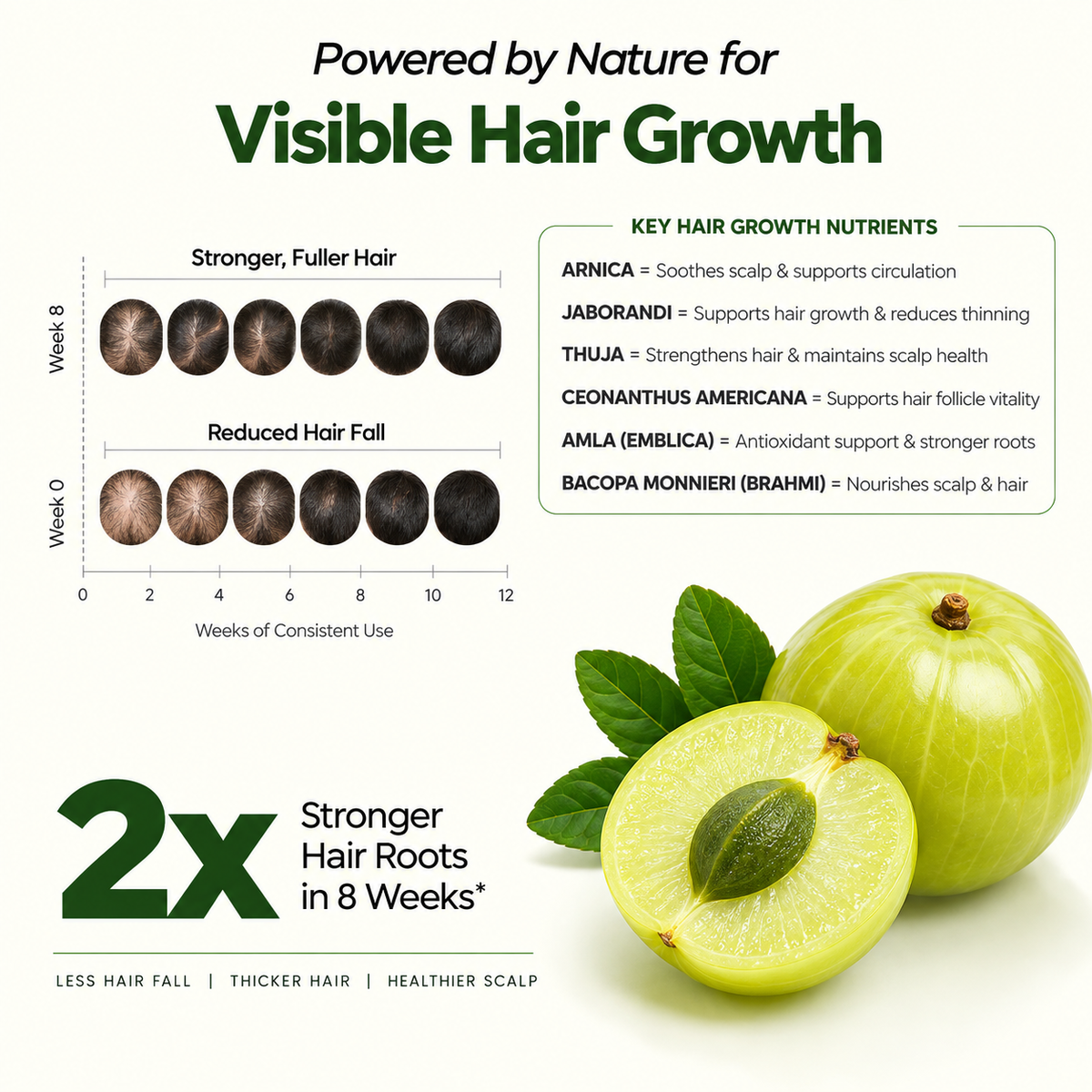 Visible hair growth over 12 weeks, key hair growth nutrients, 2x stronger hair roots in 8 weeks