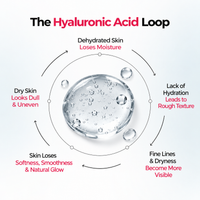 The Hyaluronic Acid Loop - dehydrated skin loses moisture, leading to rough texture, fine lines, dryness and a dull, uneven look